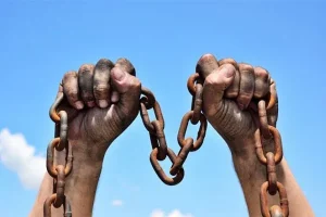 Leia mais sobre o artigo Vinícolas do Sul Condições Análogas à Escravidão