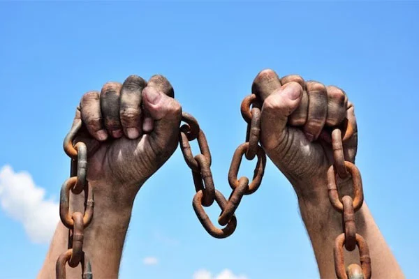 Vinícolas do Sul Condições Análogas à Escravidão